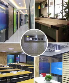 牛耳學院軟件工廠 專業軟件外包服務簡介